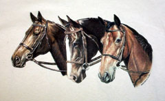 Three Thoroughbreds Tshirt